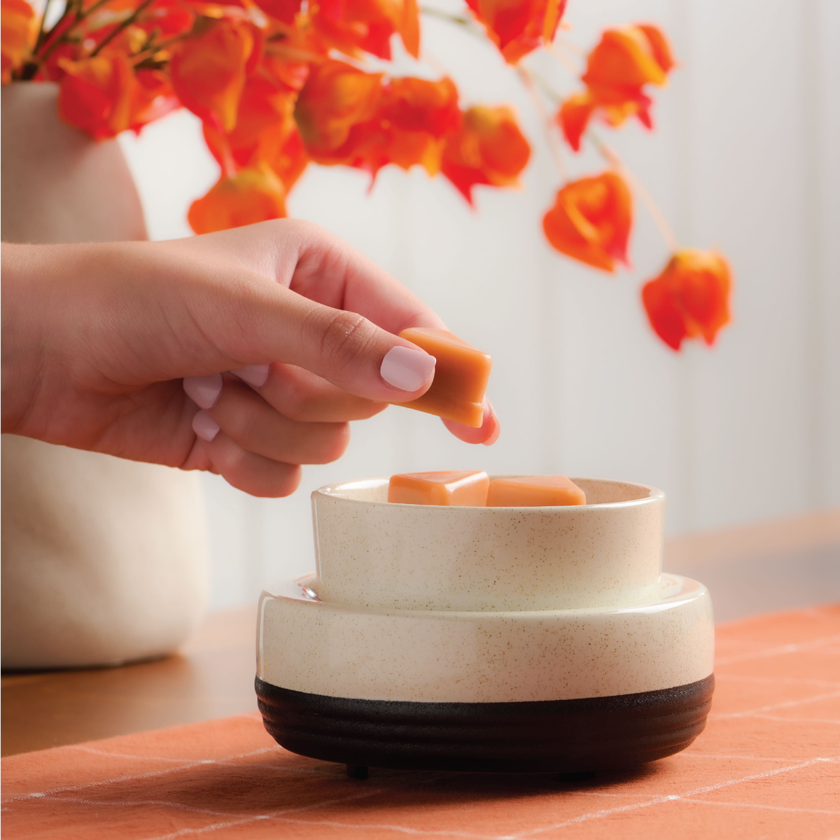 WAX MELTS