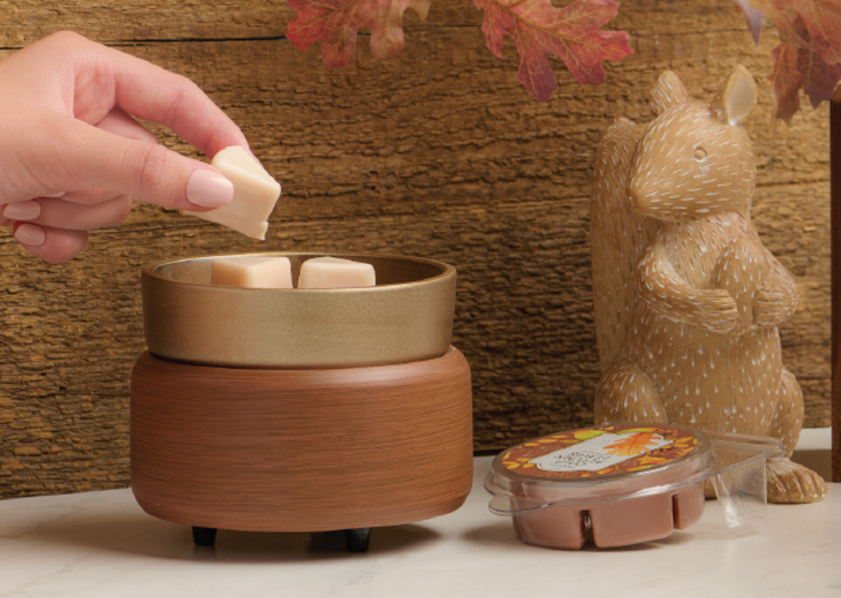 WAX MELTS